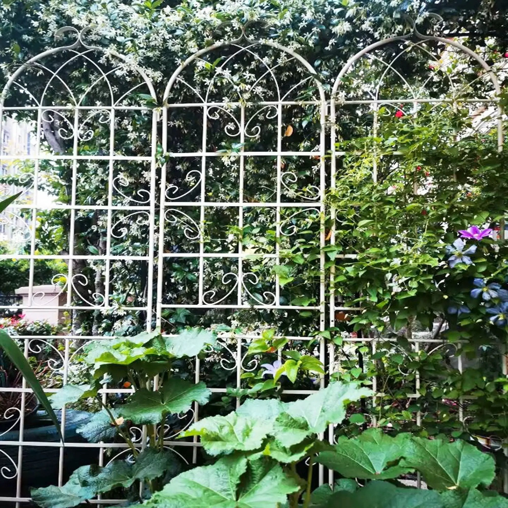 Metal Garden Rustproof Trellis For Climbing Plants Outdoor Flower Support by HouseOfZazla