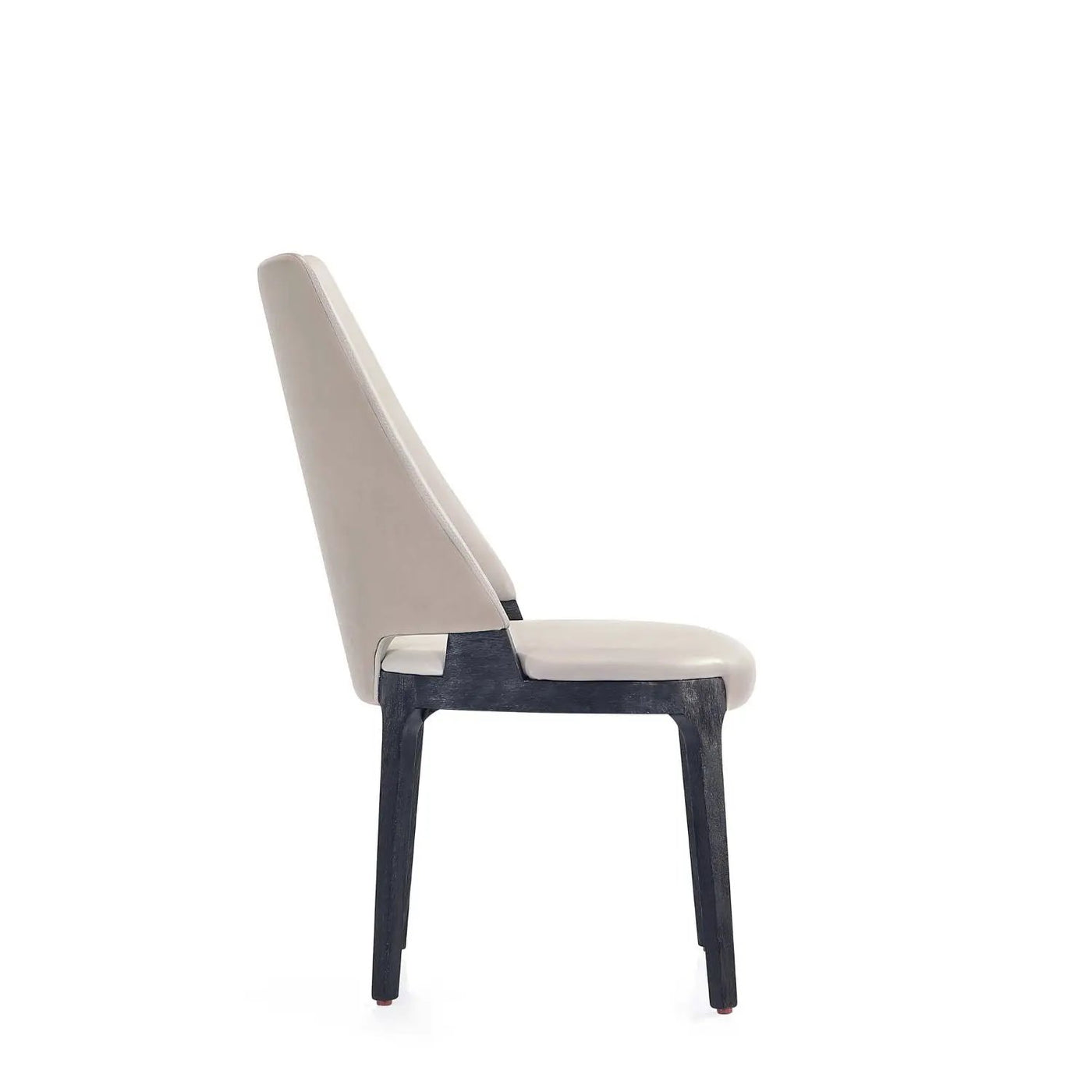 Kara - Dining Chair In (Set of 2) by HouseOfZazla