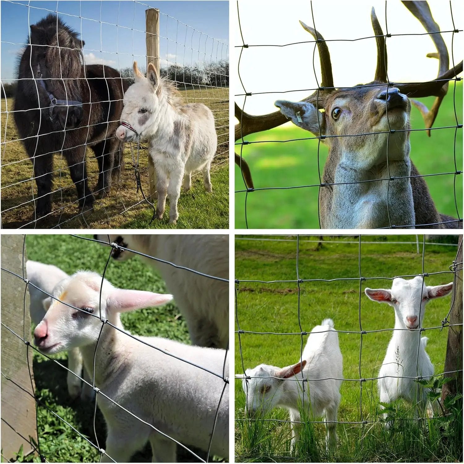 Farm Fence 4ft x 164ft 14-Gauge Heavy Zinc Coated Wire Fencing by HouseOfZazla