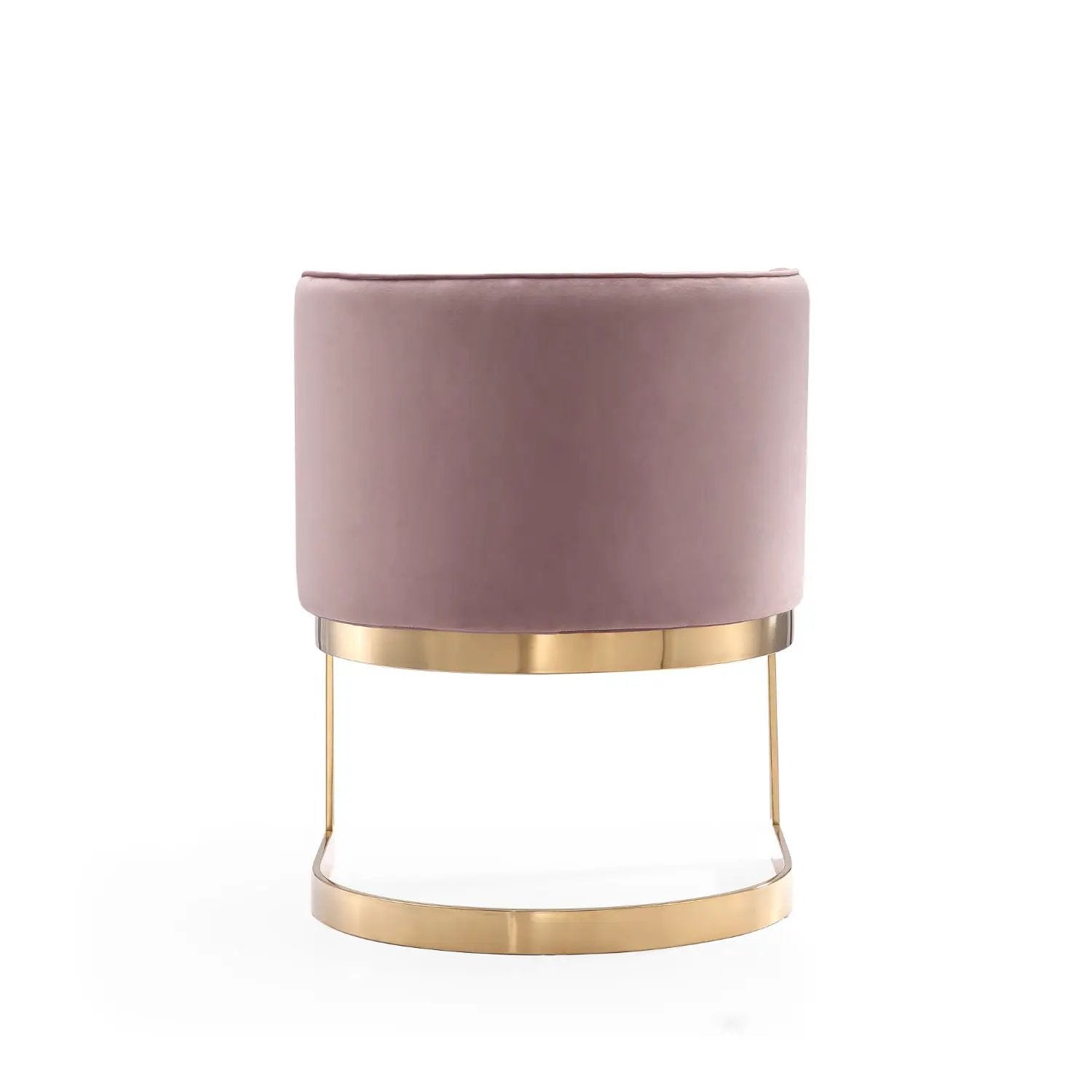Aura - Dining Chair by HouseOfZazla