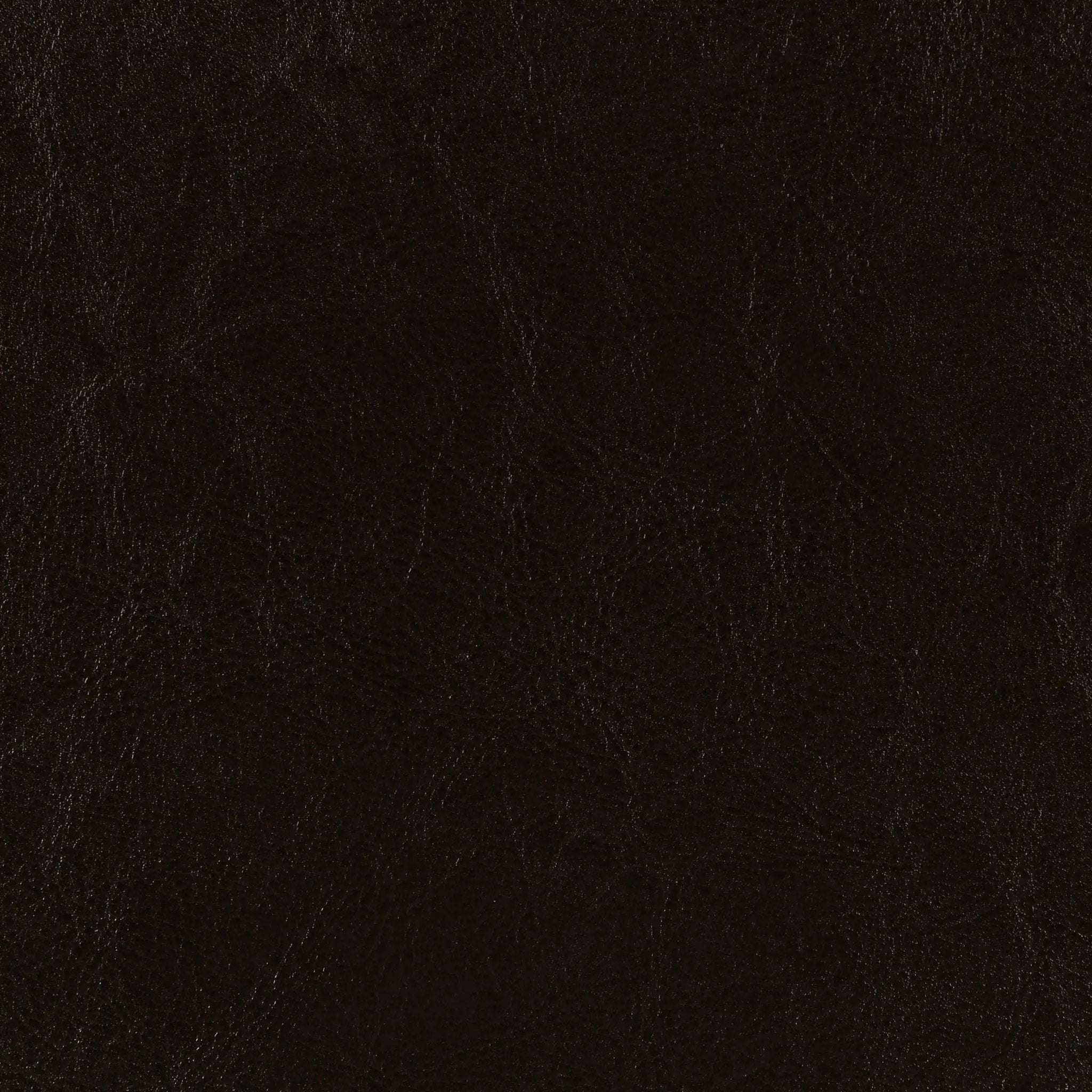 Dorian Faux Leather Upholstered Twin Panel Bed Brown by Unique Piece Furniture