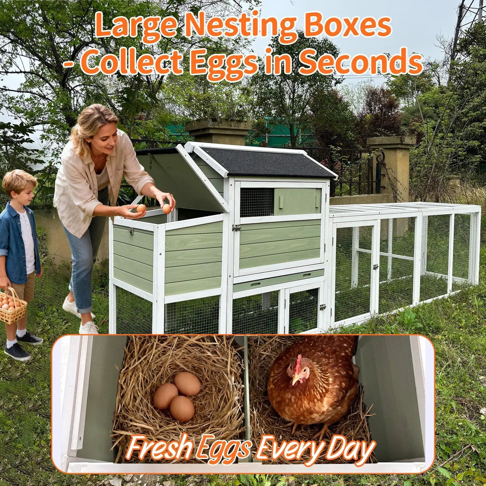 Wooden Chicken Coop, Large Outdoor Hen House with Run and Nesting Box by HouseOfZazla