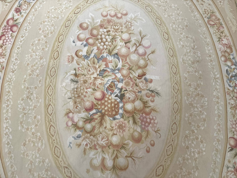 Aubusson Rug 9x12, French European Design, Floral, Elegant by Jewel Rugs
