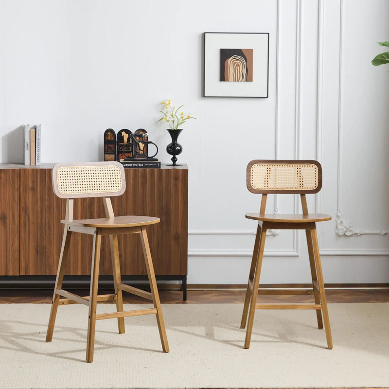 Bari Indoor Wood Barstool (Set of 2) by HouseOfZazla