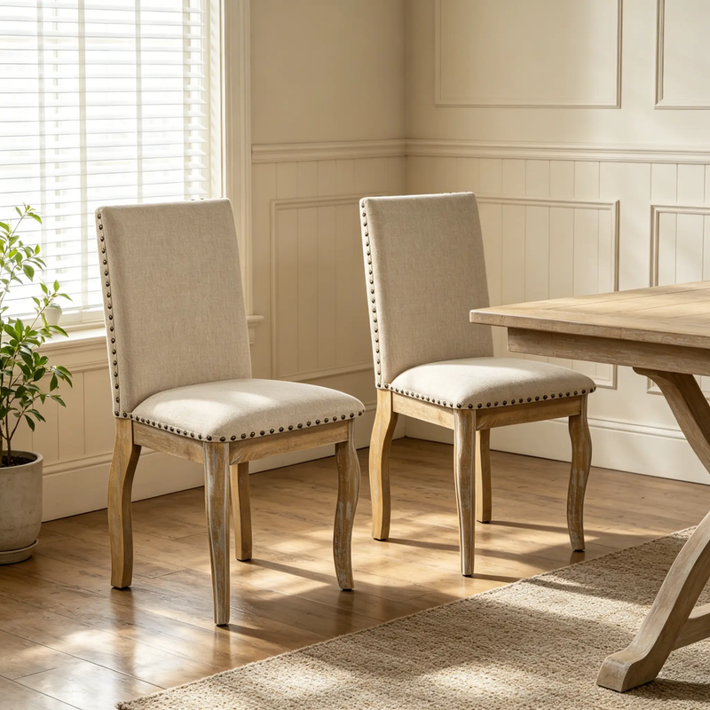 TREXM Set of 2 Dining Chairs by HouseOfZazla
