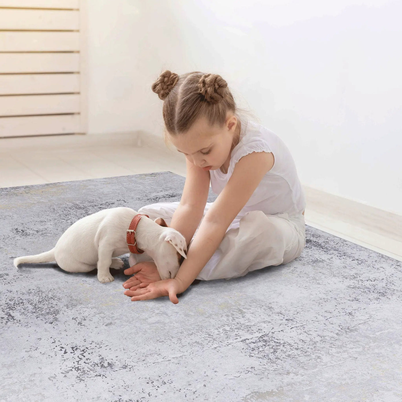 Maval - Abstract Washable Area Rug by HouseOfZazla