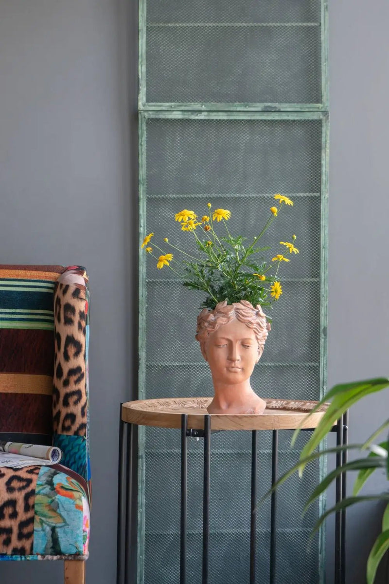 D7X11" Visage Head Bust Planter - Brown by HouseOfZazla