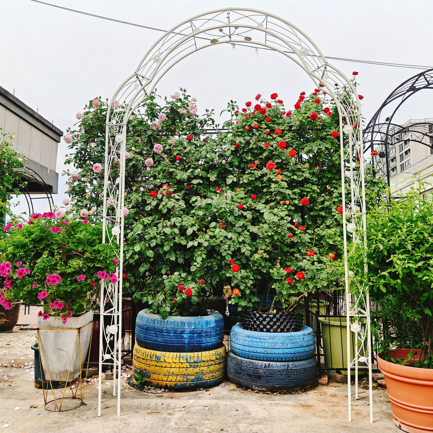 Metal Garden Arch Assemble Freely With 8 Styles Garden Arbor Trellis Climbing Plants Support Rose Arch by Unique Piece Furniture
