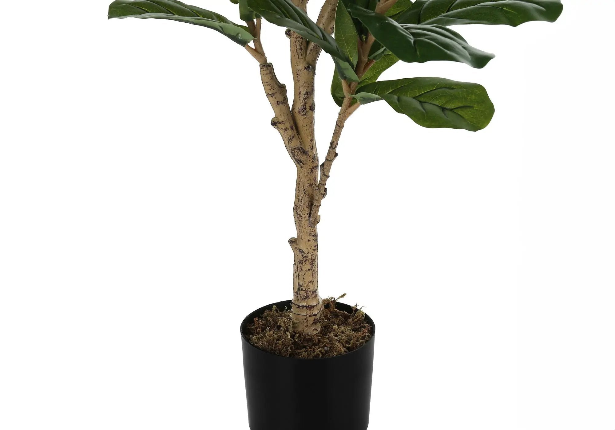 47" Tall, Artificial Plant, Fiddle Tree, Indoor, Faux, Fake, Floor, Greenery, Potted, Real Touch, Decorative - Green / Black by Unique Piece Furniture