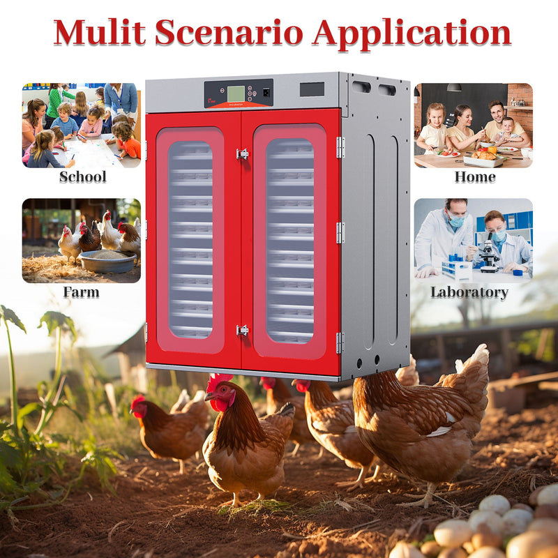Commercial Egg Digital Cabinet Incubator With Auto Temperature & Humidity Control by HouseOfZazla