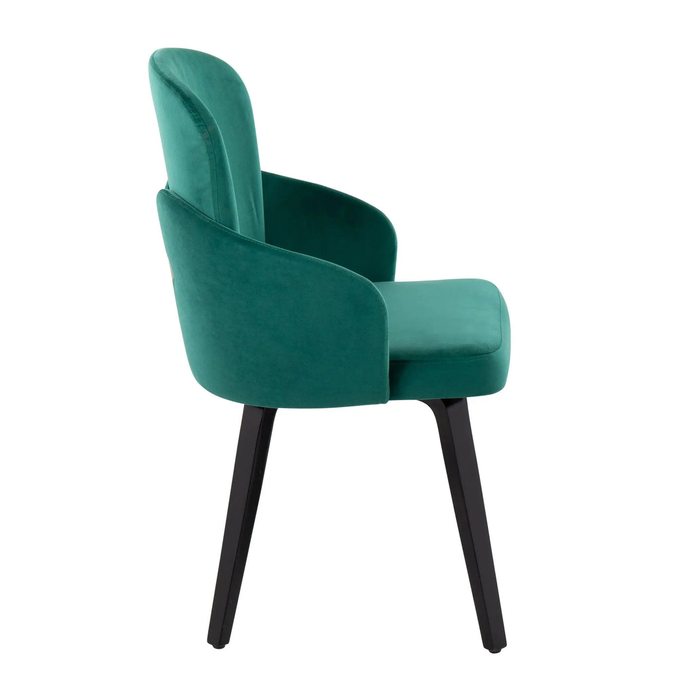 Dahlia - Contemporary Elegant Dining Chair (Set of 2) by HouseOfZazla