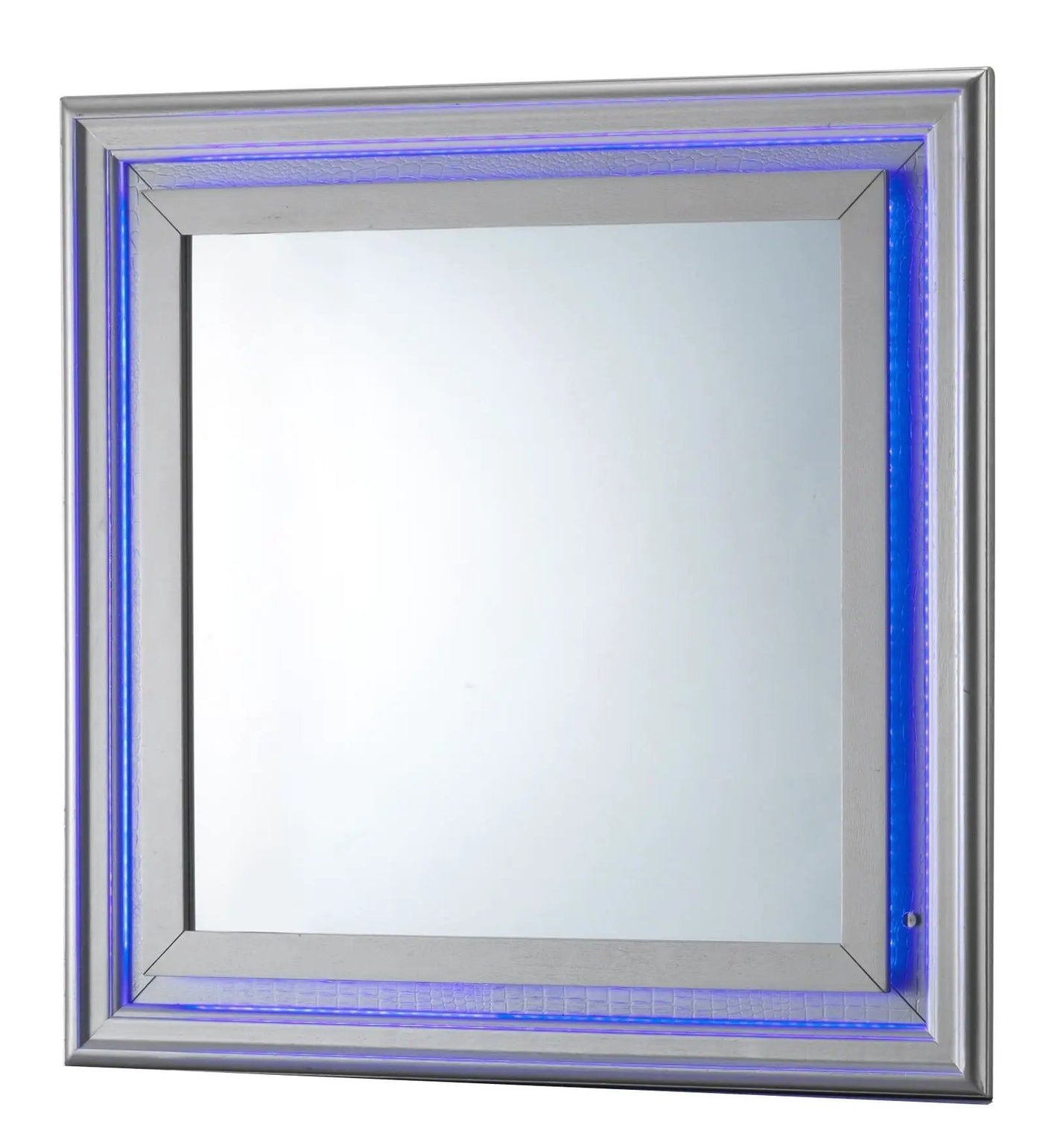 Lorana - Elegant Transitional LED Mirror by HouseOfZazla