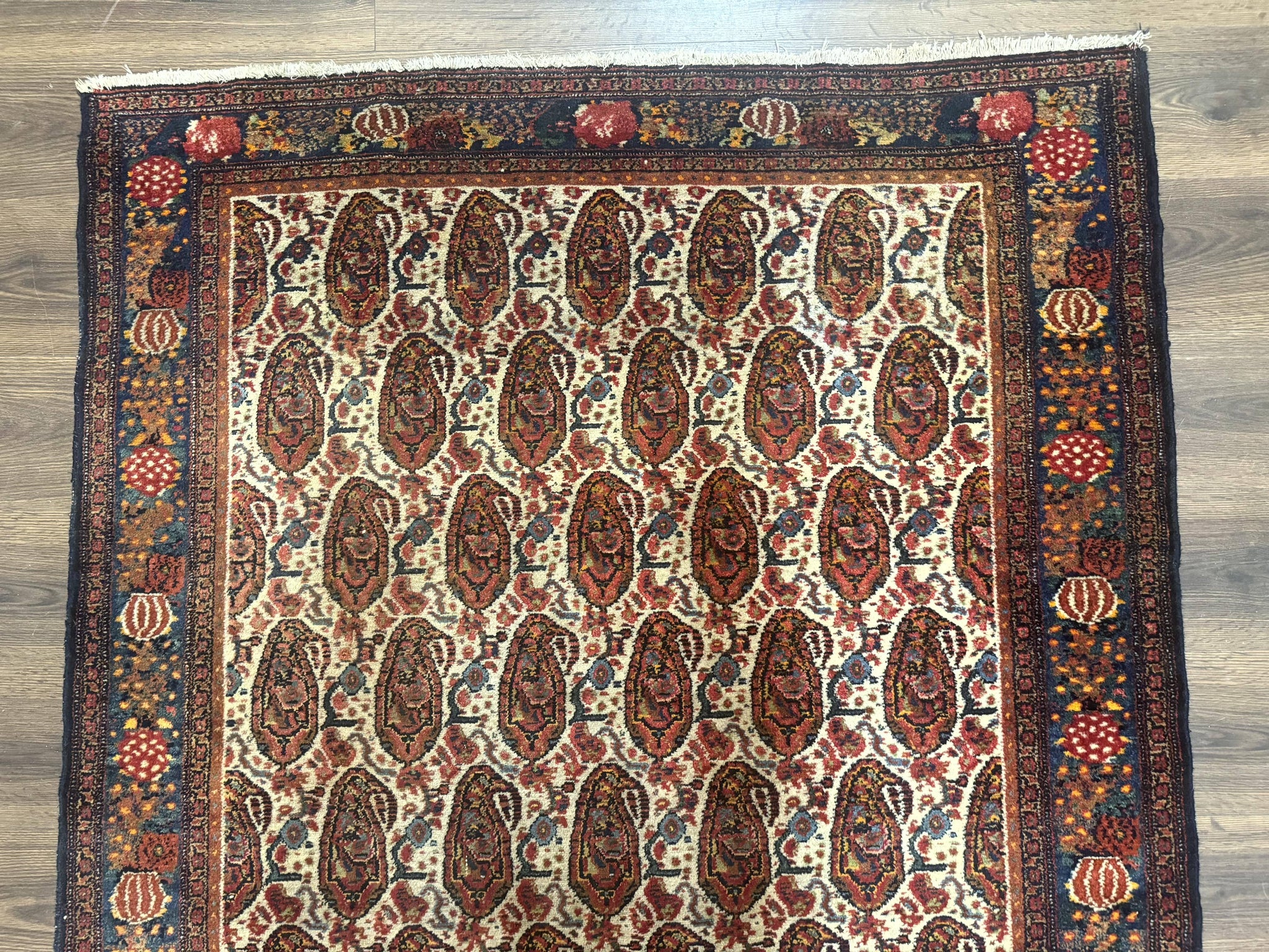 Antique Persian Kurdish Senneh Rug 4.6 x 6.5, Repeated Paisely Boteh Design, Handmade by Jewel Rugs