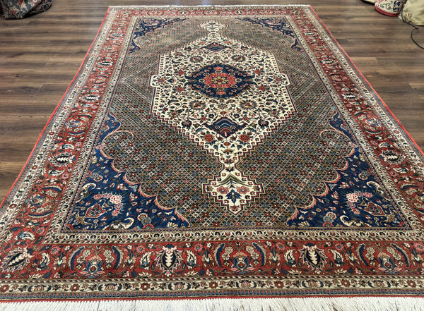 Persian Rug 7x10, Bakhtiari Saman Rug, Unique Design and Colors, Ivory Red Blue, Large Tribal Rug, photo 2 of 13