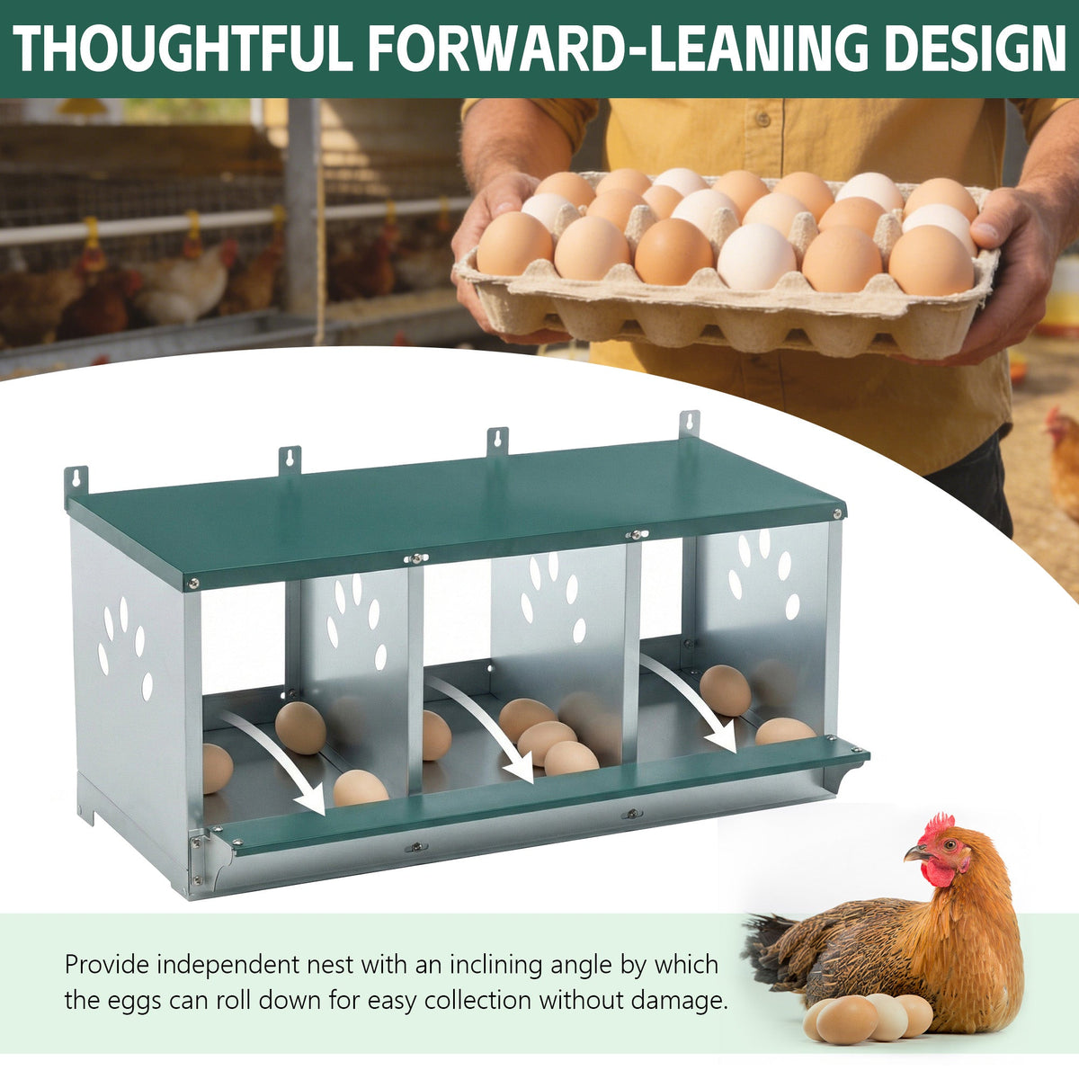 Metal Nesting Boxes for Chicken, photo 4 of 8