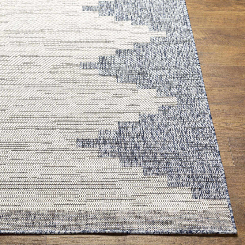 Djugun Blue Indoor & Outdoor Rug by Hauteloom