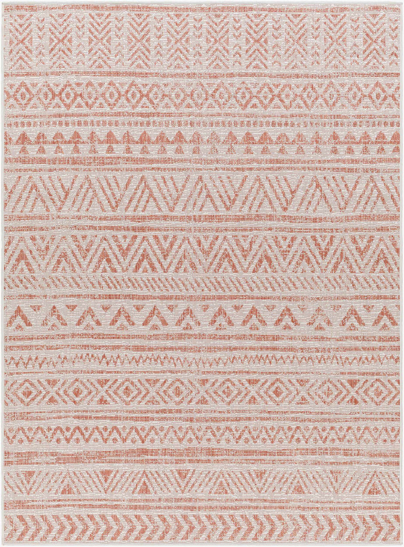 Chuck Outdoor Area Rug - Clearance by Boutique Rugs