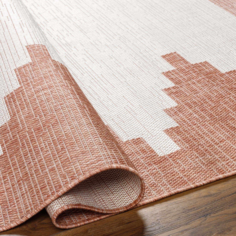 Djugun Peach Fuzz Indoor & Outdoor Rug by Hauteloom