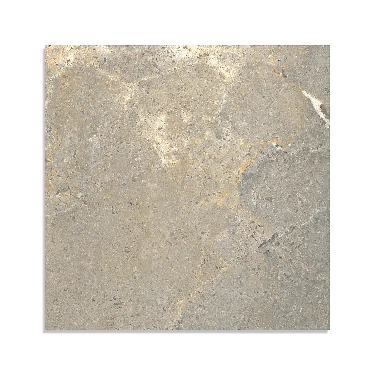 Earth Matte Porcelain Tiles 24x24 by Stonetiledepot