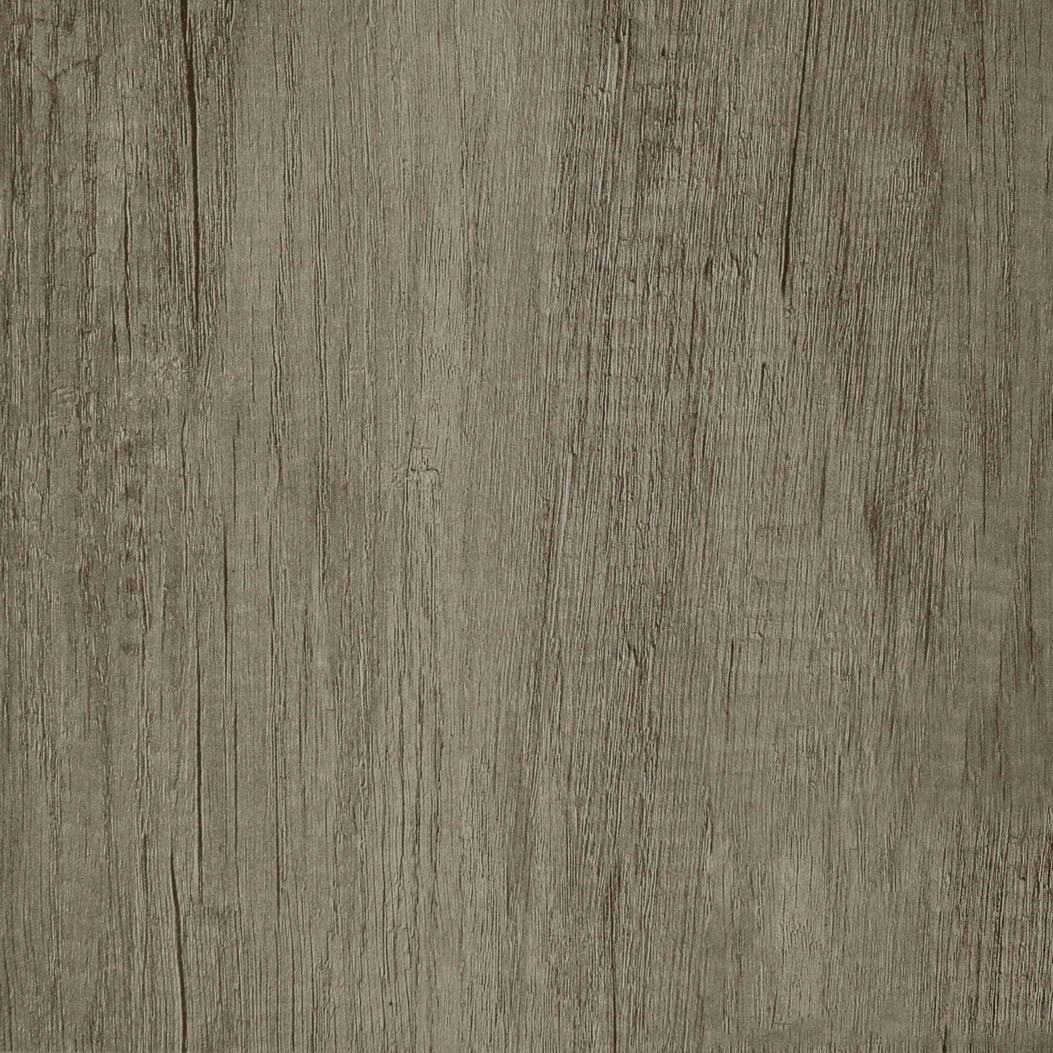 4 Panel Folding Screen by HouseOfZazla