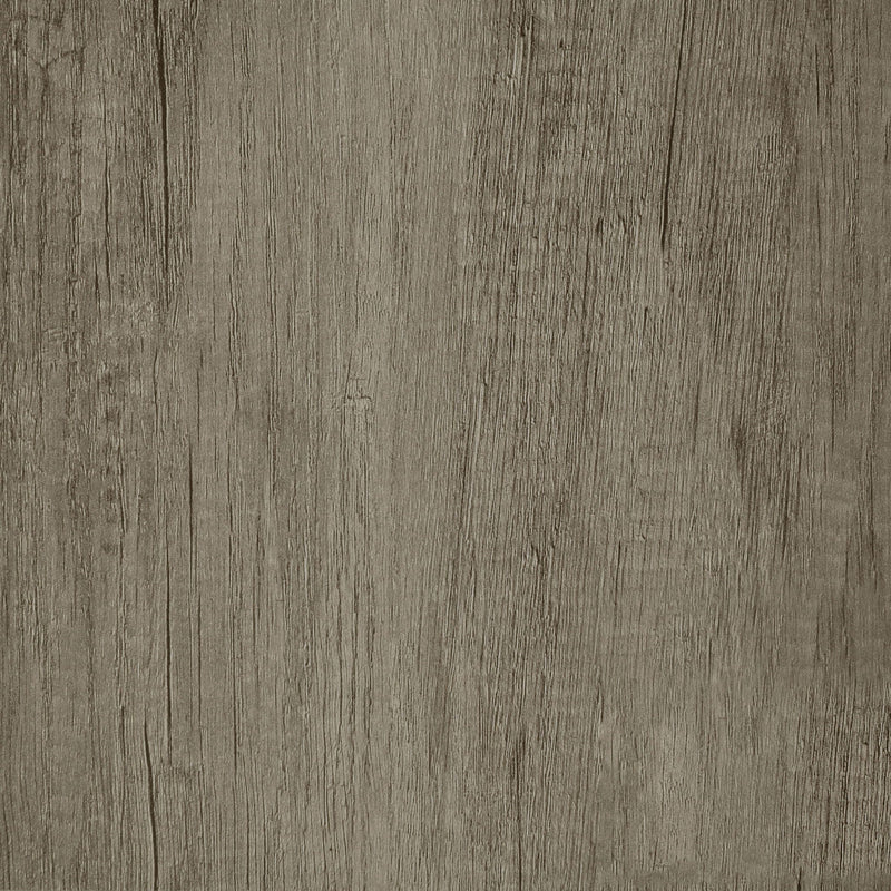 4 Panel Folding Screen by HouseOfZazla