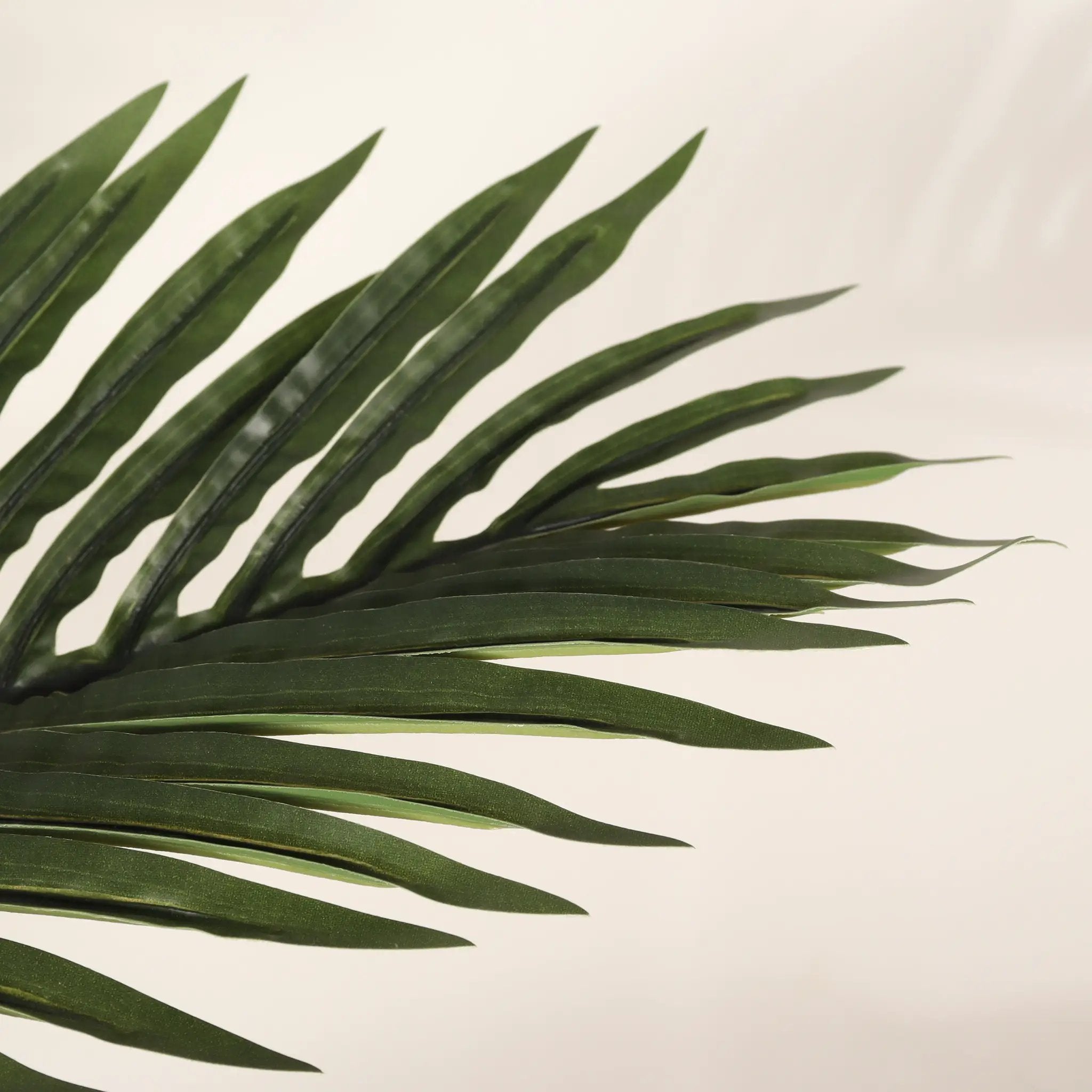 6FT Artificial Palm Tree with Realistic Detail by HouseOfZazla