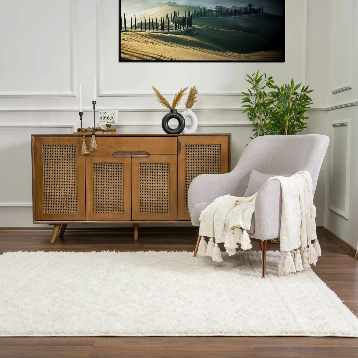Eivin Cream Diamonds Plush Rug, installed in a room 5