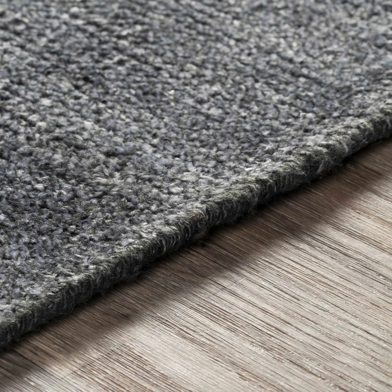 Lecompton Solid Charcoal Viscose Rug - Clearance by Boutique Rugs