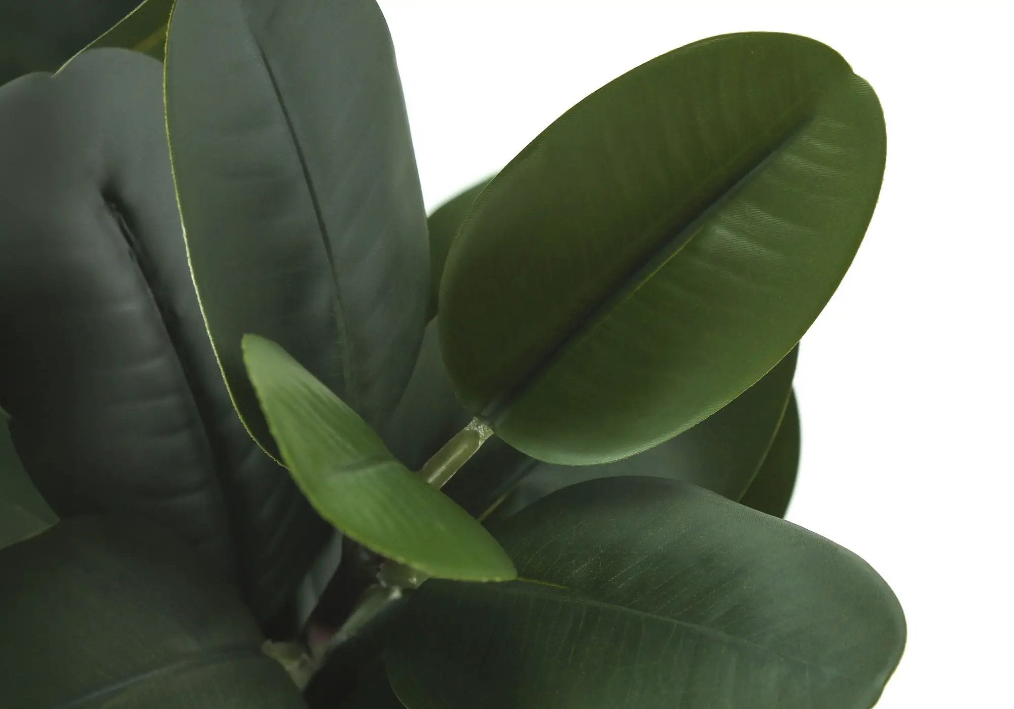 31" Tall, Artificial Plant, Garcinia Tree, Indoor, Faux, Fake, Floor, Greenery, Potted, Real Touch, Decorative - Green / White by Unique Piece Furniture