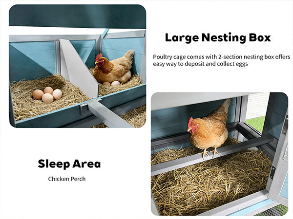 141" Large Wooden Chicken Coop with Nesting Box and Wire Fence by HouseOfZazla