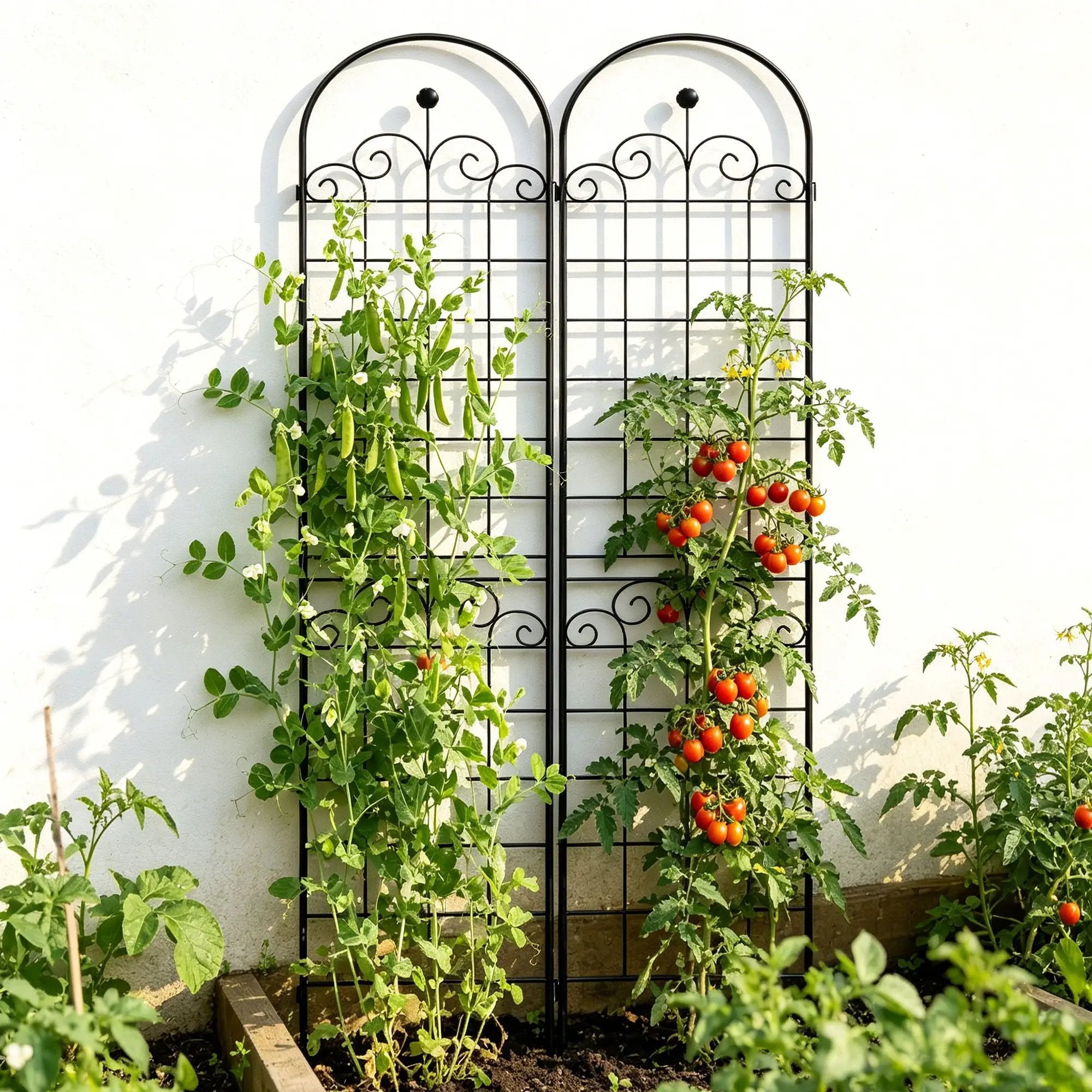 Metal Garden Trellis For Climbing Plants Outdoor Rustproof Plant Support Rose Trellis Netting Trellis by HouseOfZazla