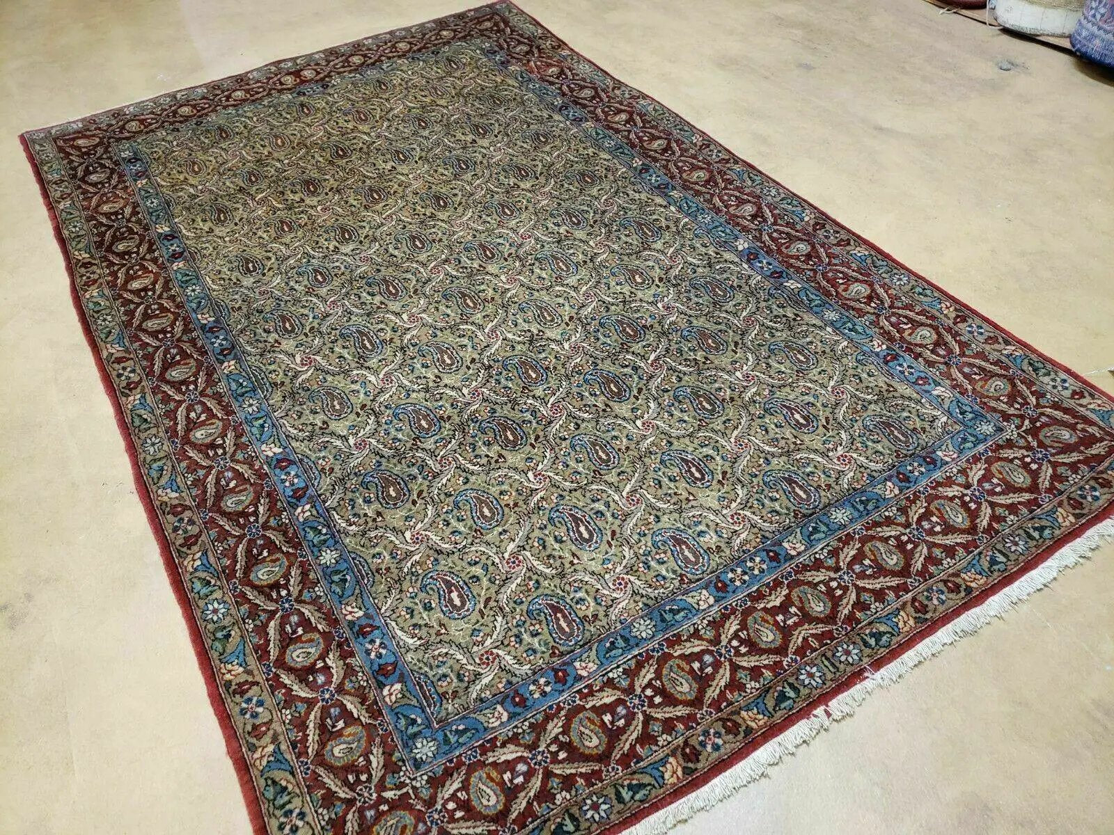4' X 7' Handmade Turkish Wool Rug Paisley Hand Knotted Flowers One Of A Kind by Jewel Rugs