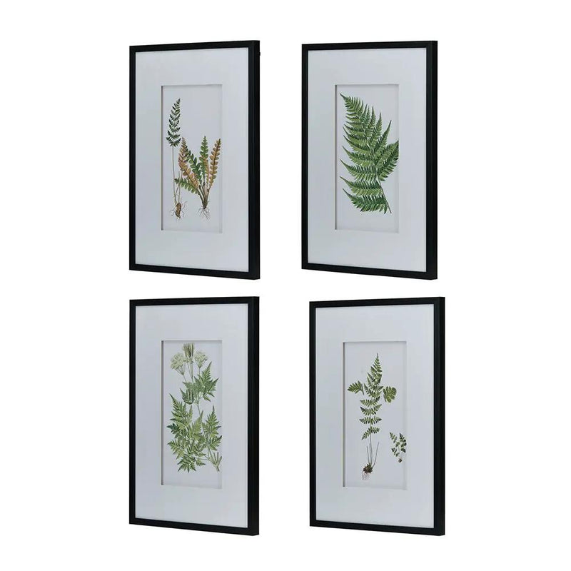 Botanical And Fern Wall Art, Wall Decor For Living Room Dining Room Entryway (Set of 4) - White / Black by Unique Piece Furniture