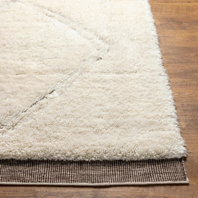 Eguia Area Rug - Clearance by Boutique Rugs