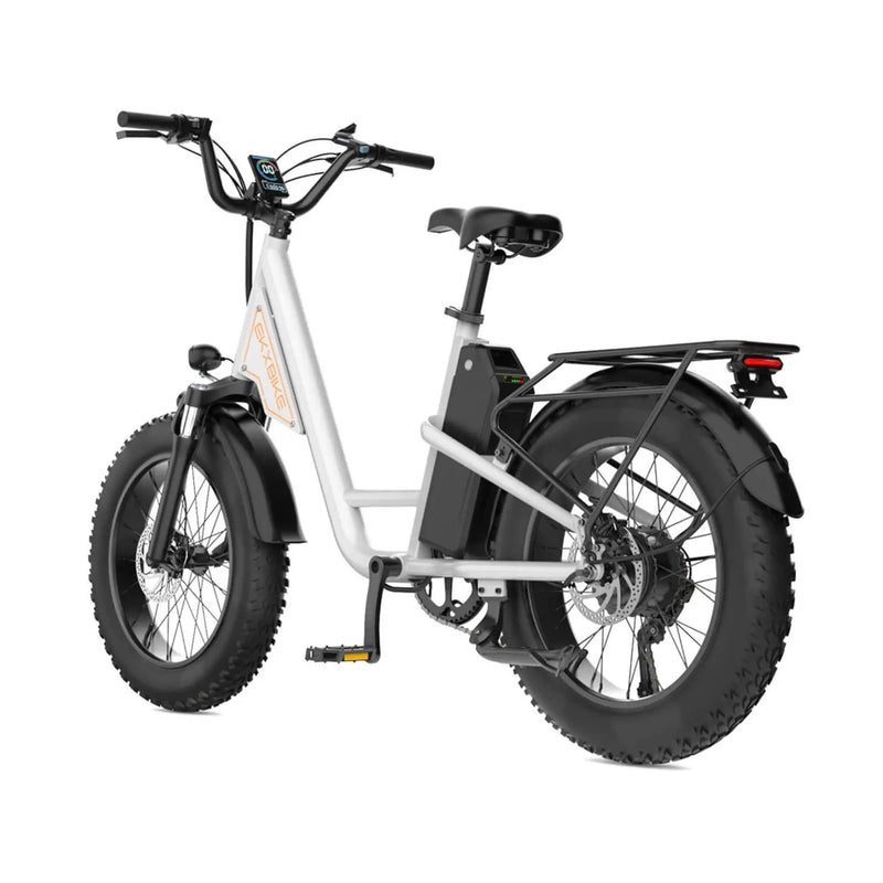 EKX L1 1000W 48V/15.6AH Electric Mountain Fat Tire Bike, 20" (SAK27491) by SAKSBY WHOLESALE