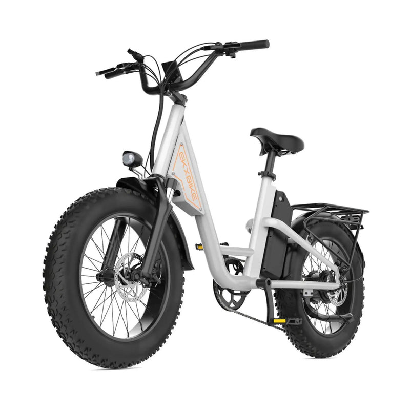 EKX L1 1000W 48V/15.6AH Electric Mountain Fat Tire Bike, 20" (SAK27491) by SAKSBY WHOLESALE