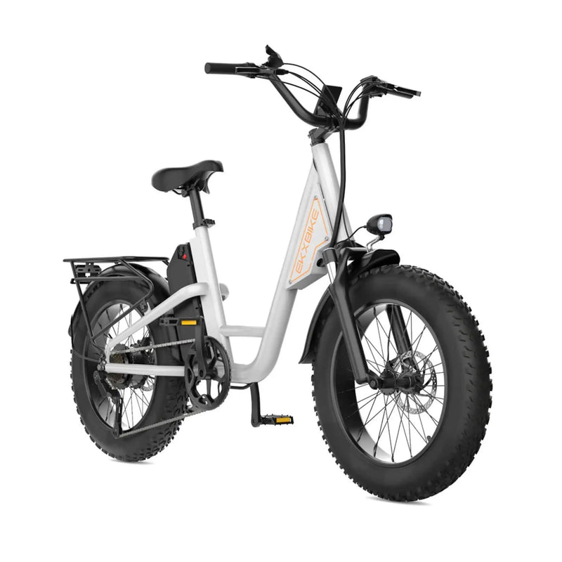 EKX L1 1000W 48V/15.6AH Electric Mountain Fat Tire Bike, 20" (SAK27491) by SAKSBY WHOLESALE