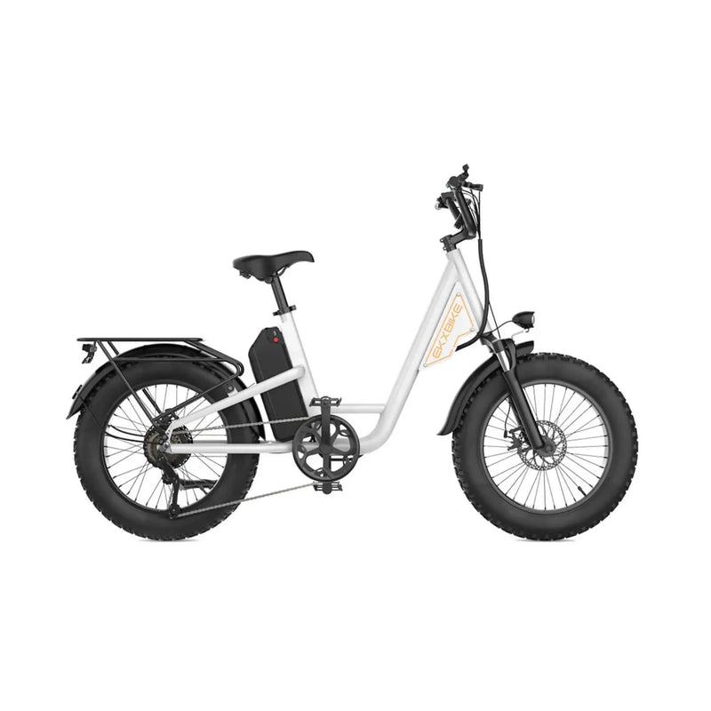 EKX L1 1000W 48V/15.6AH Electric Mountain Fat Tire Bike, 20" (SAK27491) by SAKSBY WHOLESALE