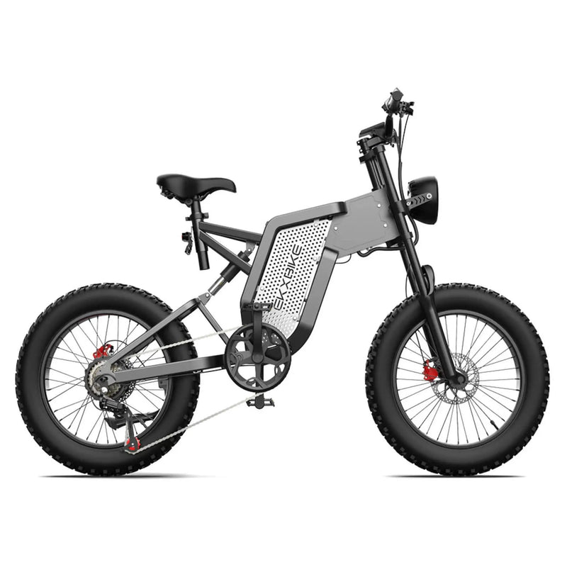 EKX X20 2000W 48V/35AH Electric Bike Mountain Moped E-Bike (SAK31682) by SAKSBY WHOLESALE