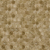 Hexagon