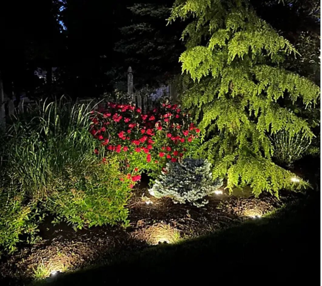 Energizer 10-pc Solar Disc Lights Multi-Direction 20 Lumen by Outdoor Solar Outlet