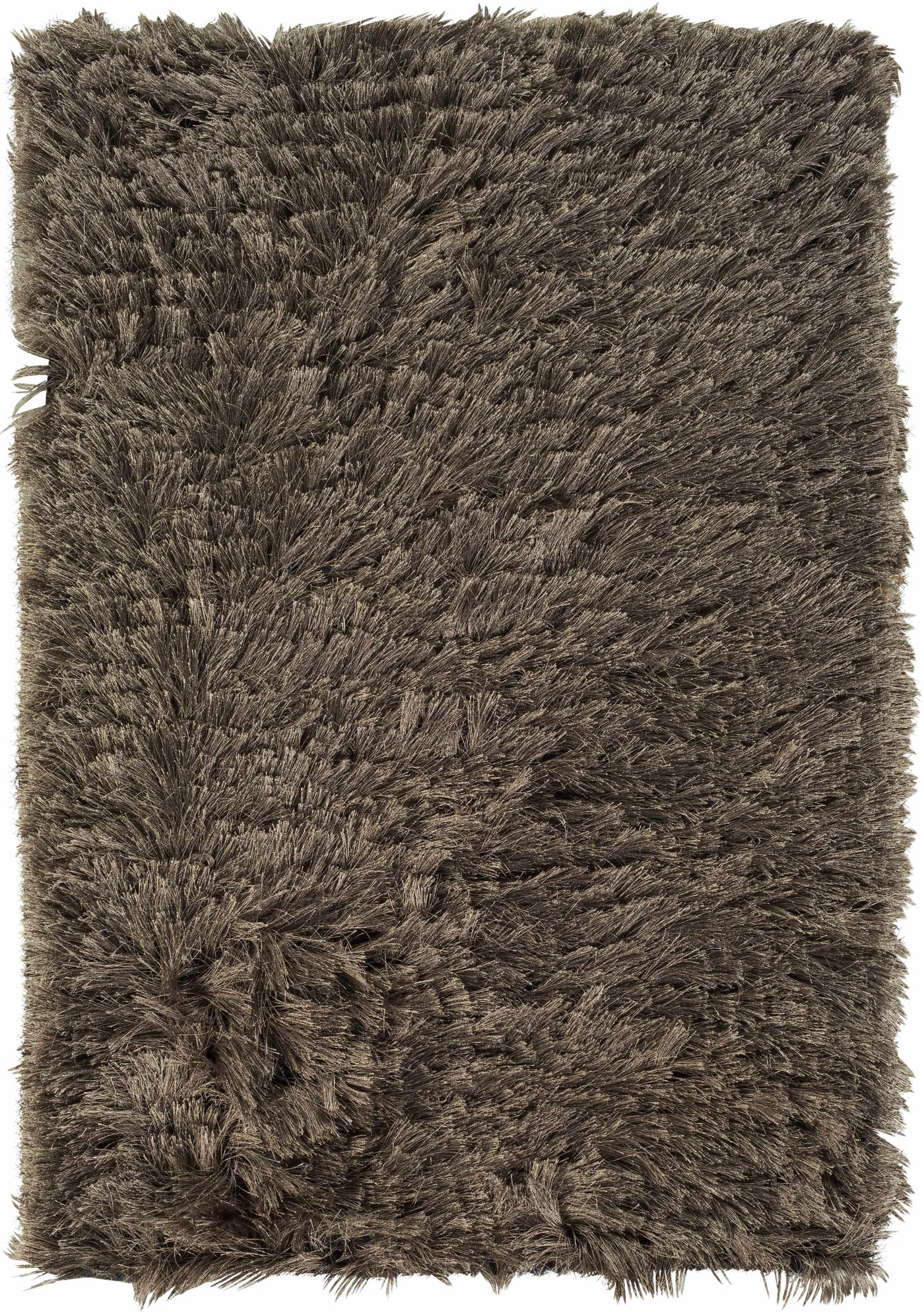 Erial Area Carpet - Clearance by Boutique Rugs