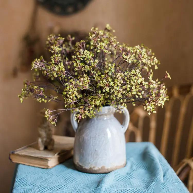 Erysimum Flower Plant Bundle 11" Tall by RusticReach