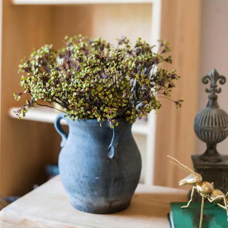 Erysimum Flower Plant Bundle 11" Tall by RusticReach