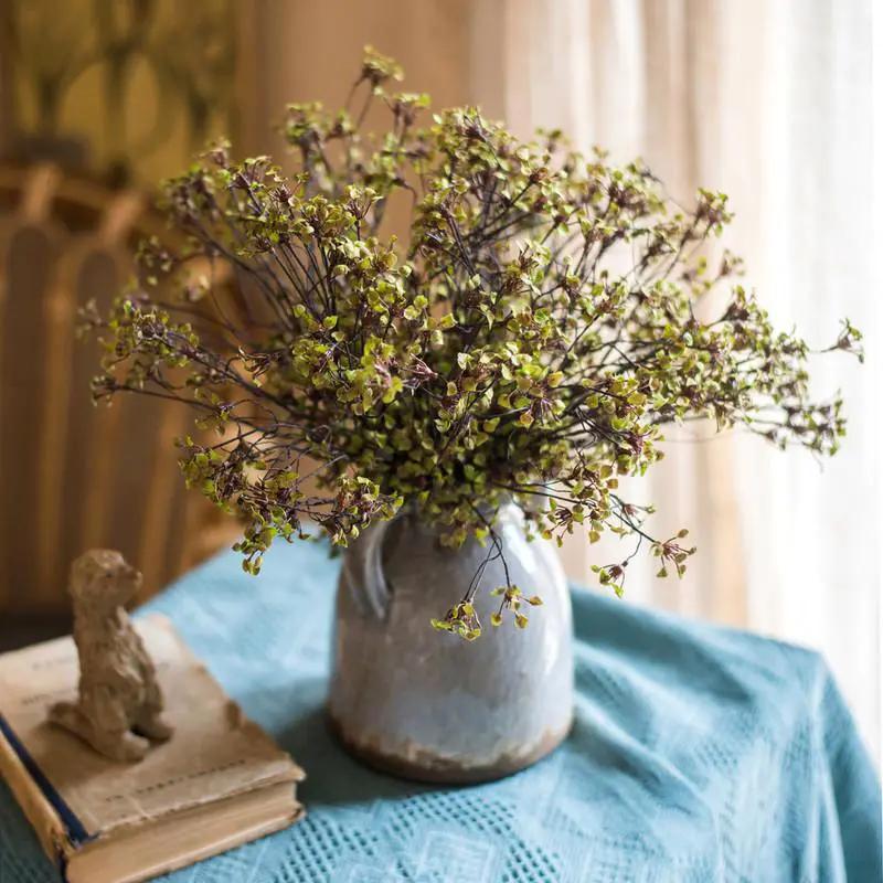 Erysimum Flower Plant Bundle 11" Tall by RusticReach