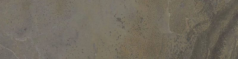 Essence Rustic Gold Slate Look Porcelain Tiles 3x12 by landmarkceramics