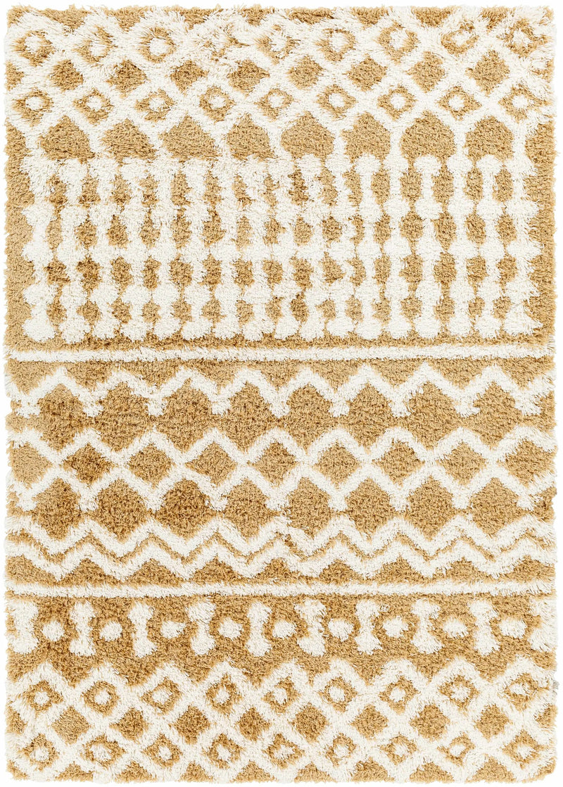 Evely Shag Area Rug by Boutique Rugs