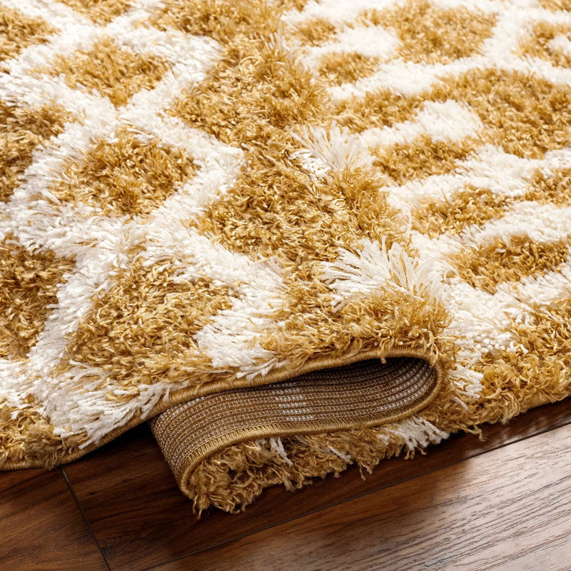 Evely Shag Area Rug by Boutique Rugs