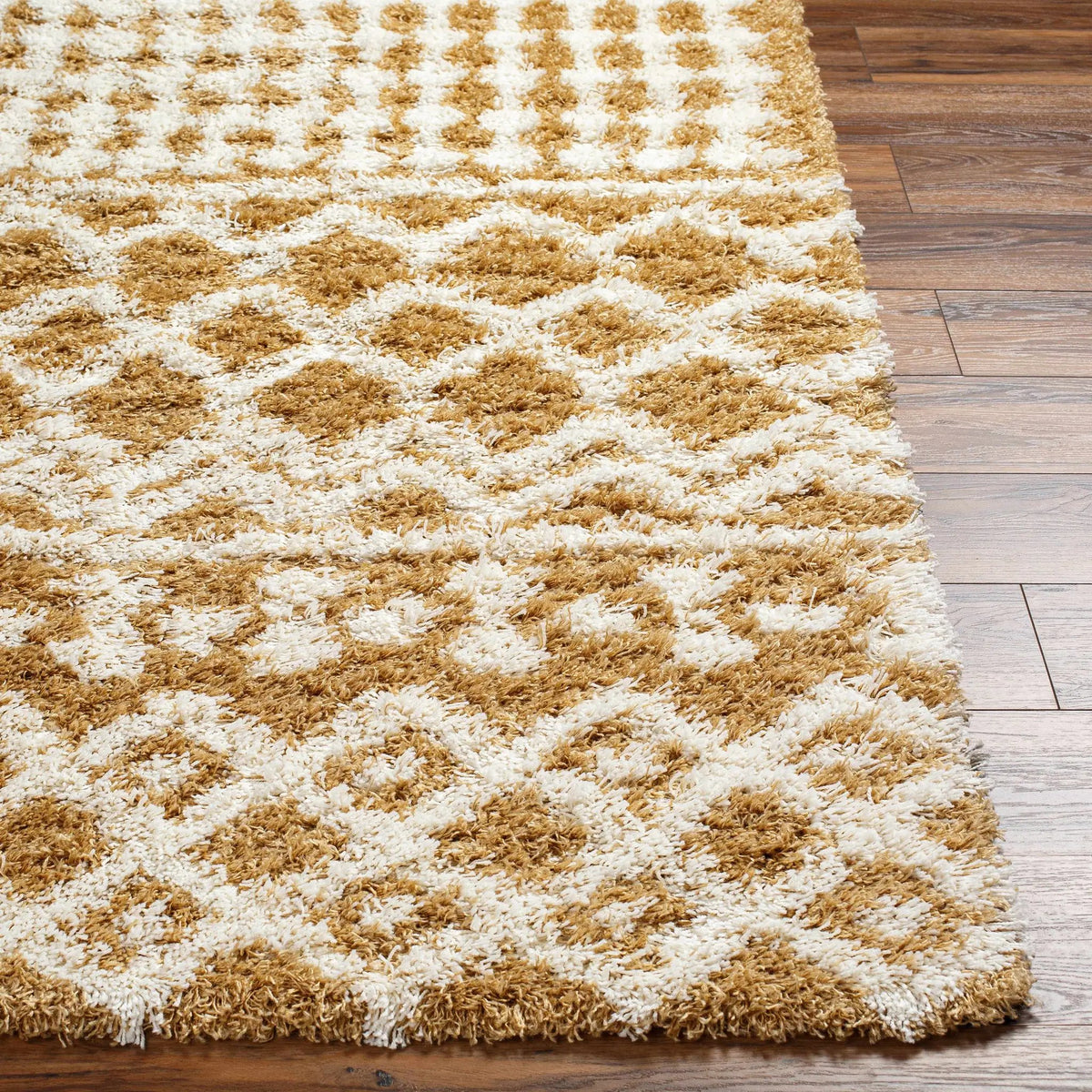 Evely Shag Area Rug, photo 6 of 10