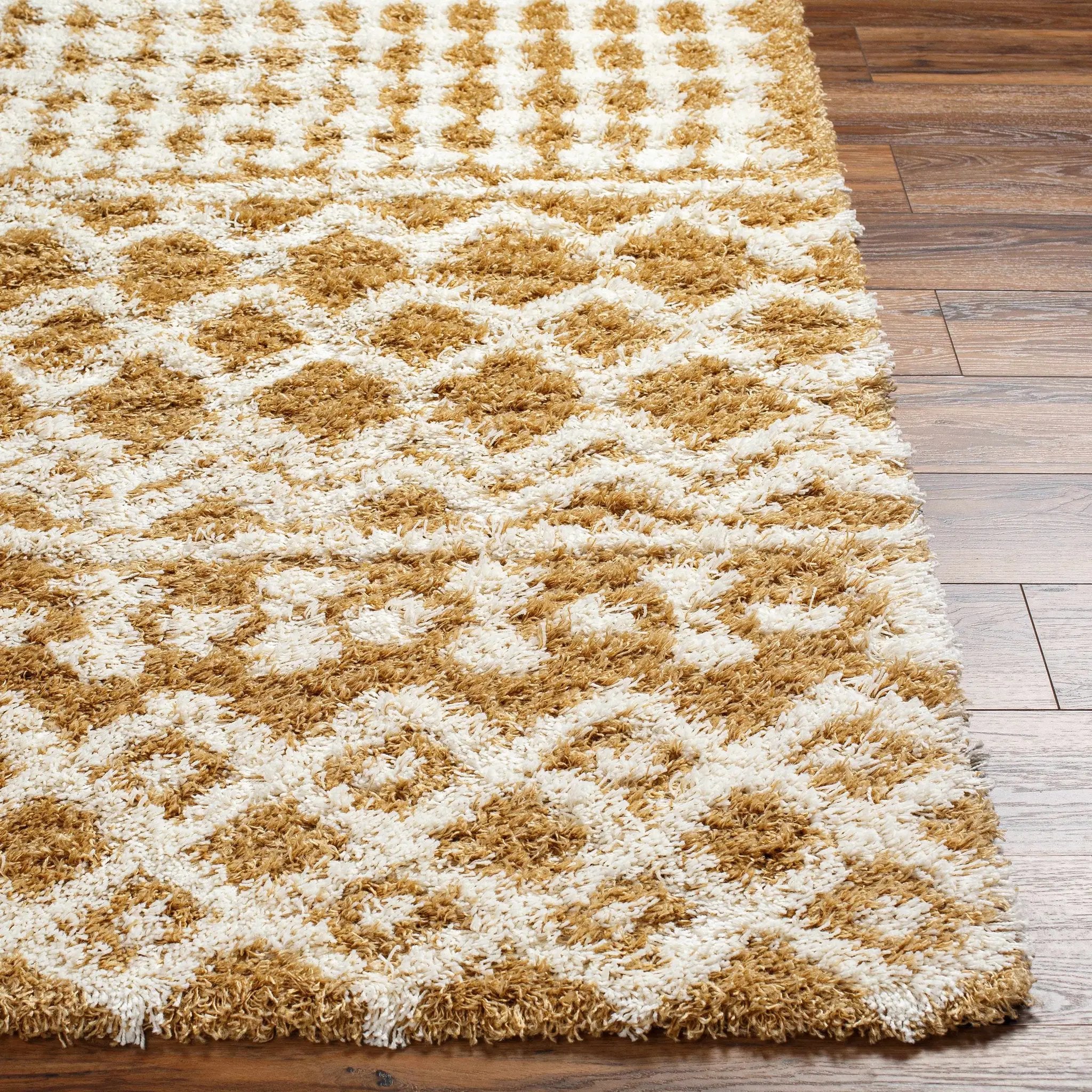 Evely Shag Area Rug by Boutique Rugs